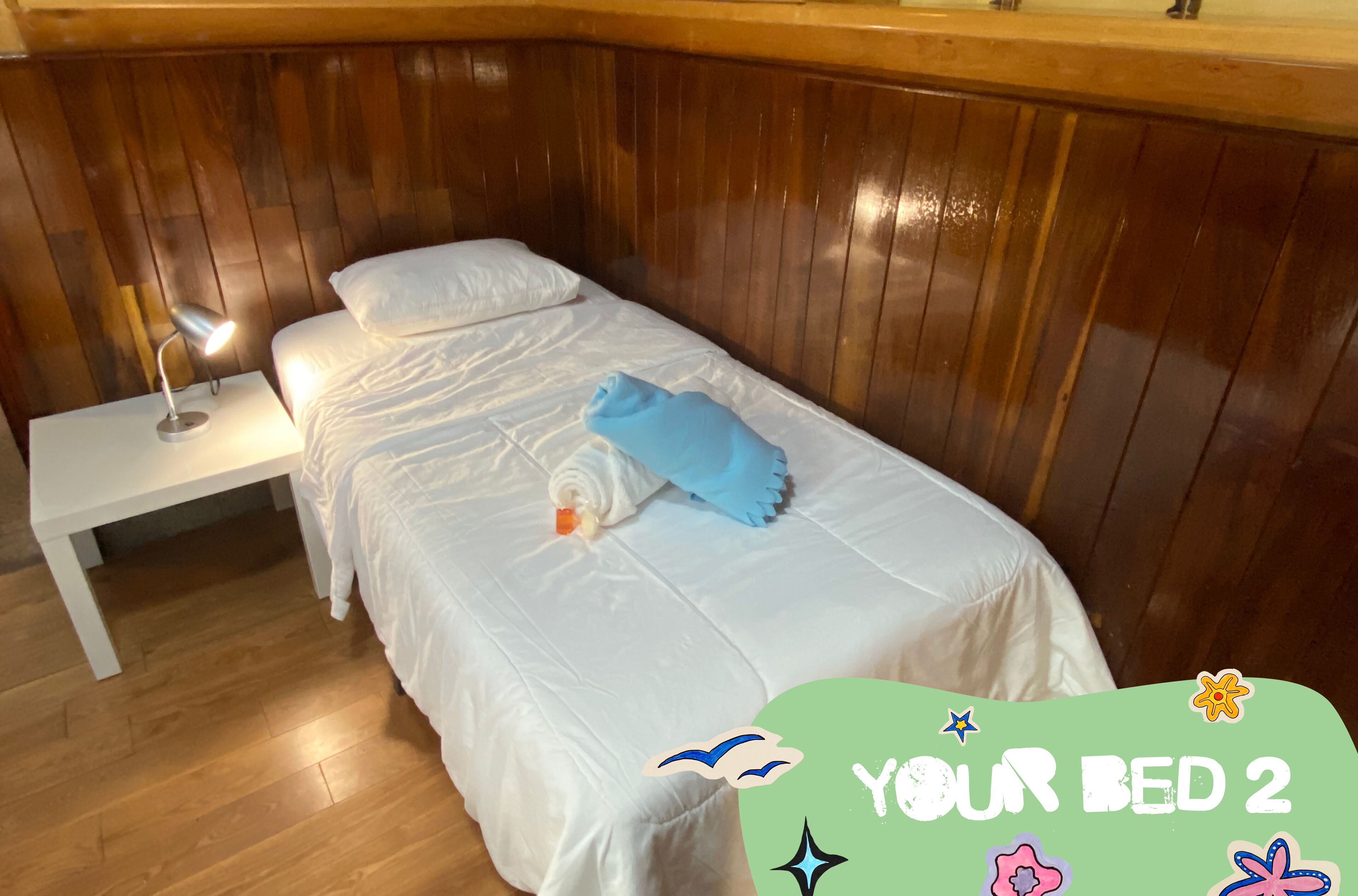 Photo - Hostal Fungi Casa Rosa