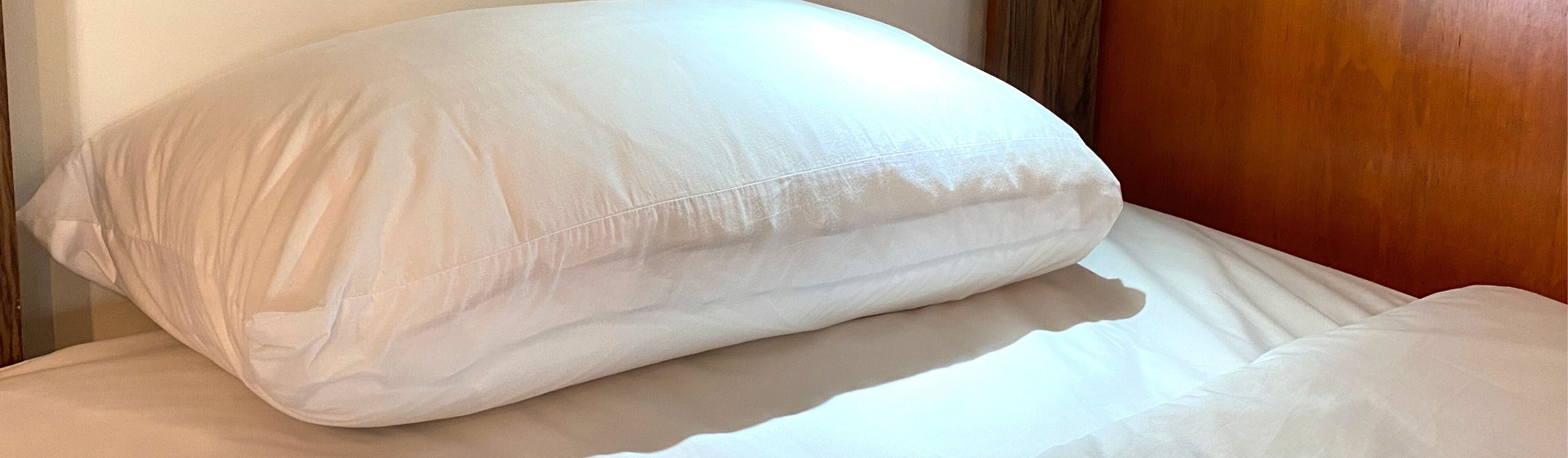 Photo - Hostal Fungi Casa Rosa