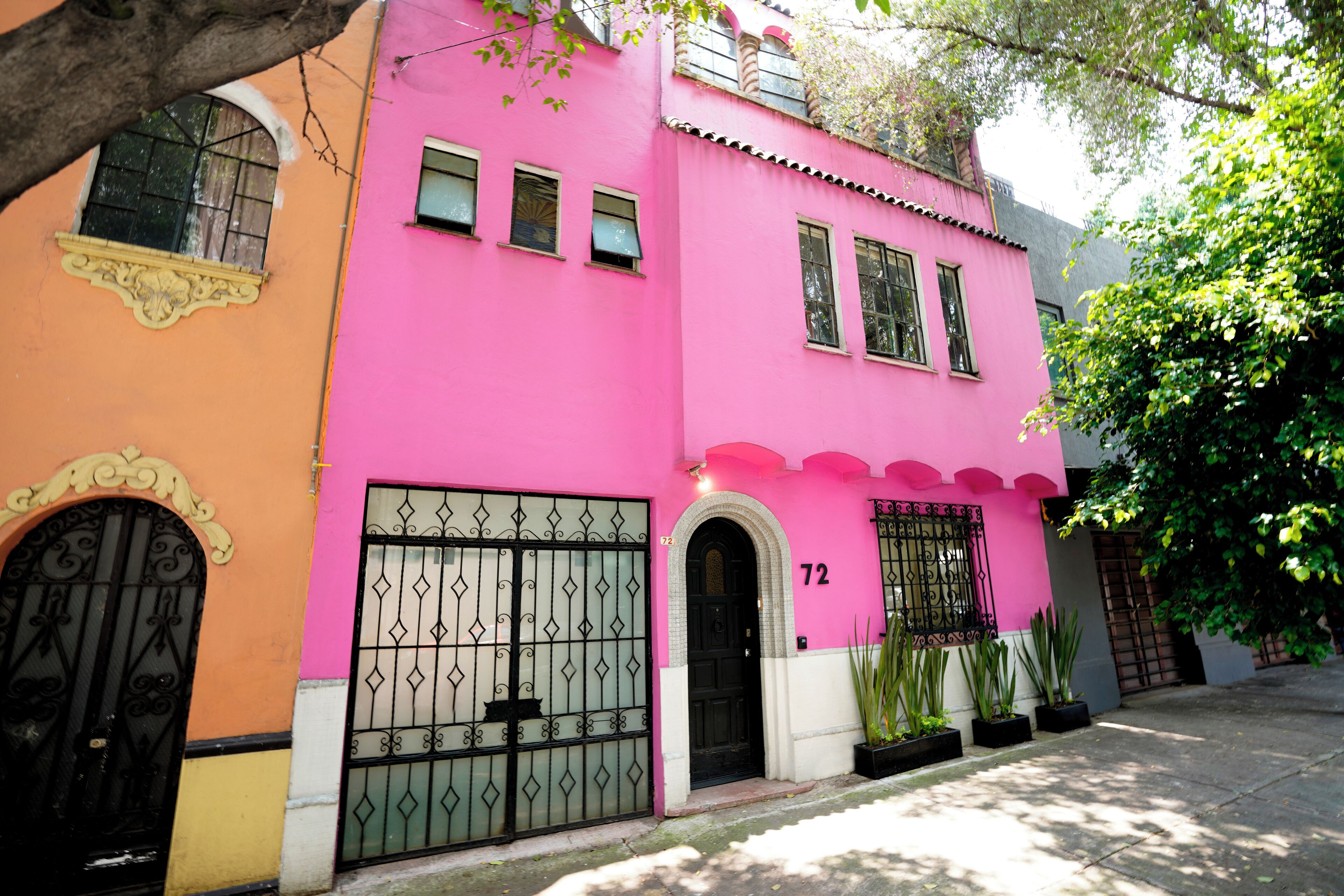 Fungi Hostal Condesa - Hostel