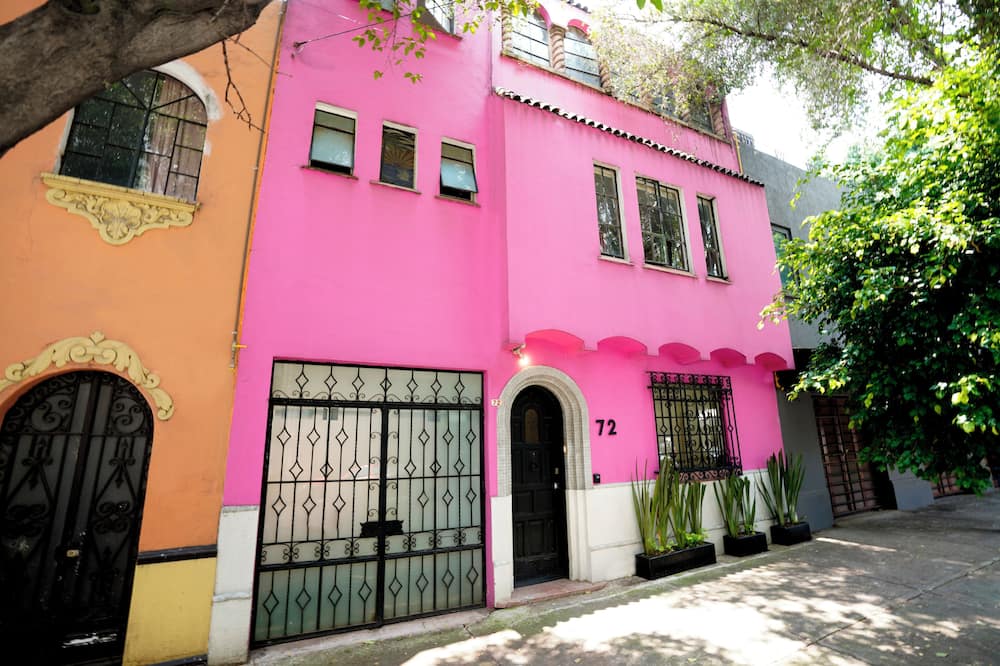 Fungi Hostal Condesa - Hostel