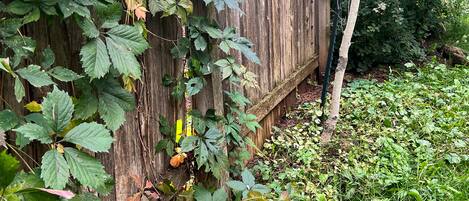 Enceinte de l’hébergement