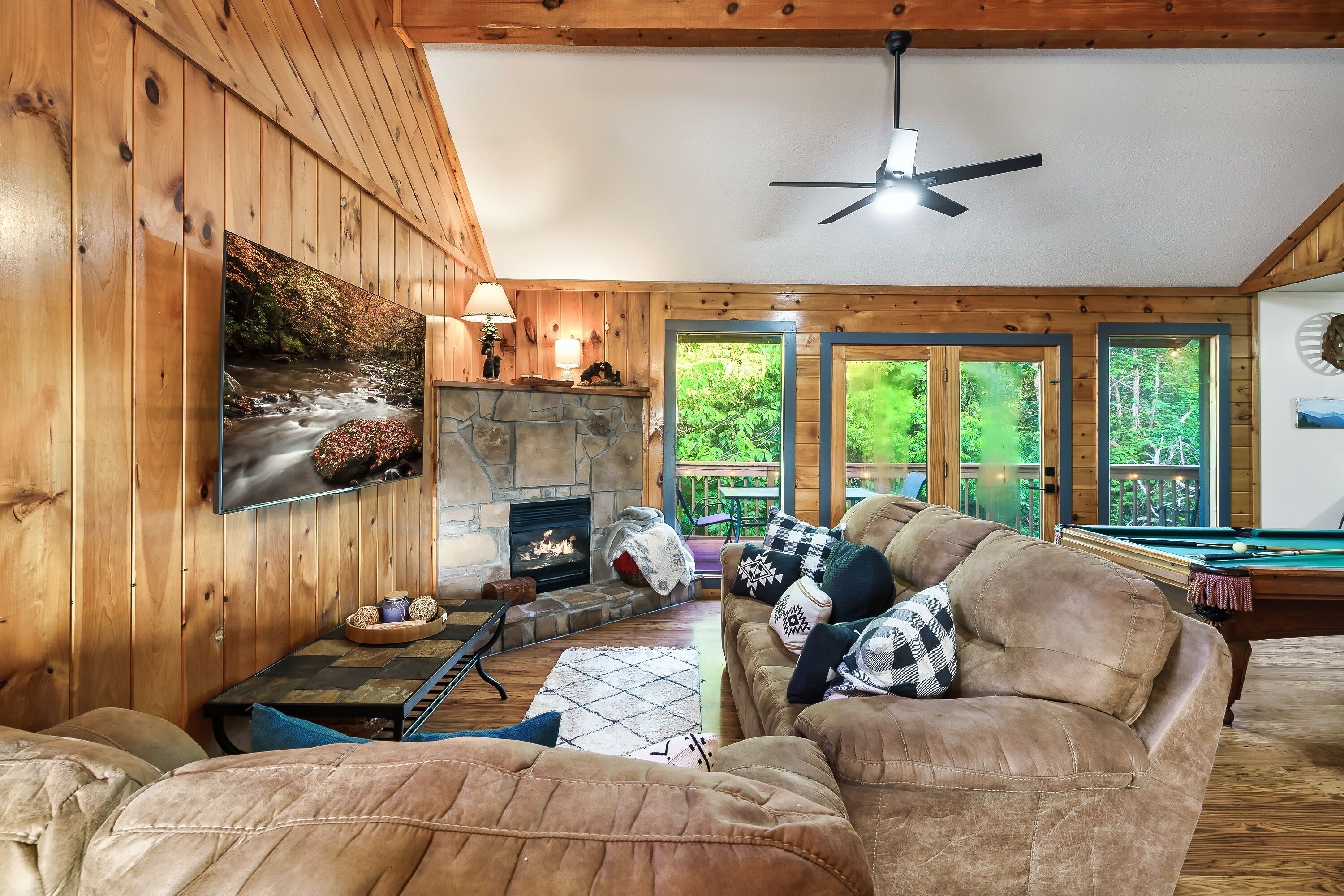 Smart TV, fireplace, video games, books