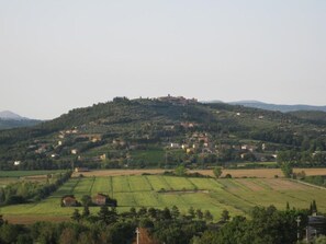 Miscellaneous - La Petronilla Montepetriolo - Apartment Delight (Monte Petriolo)
