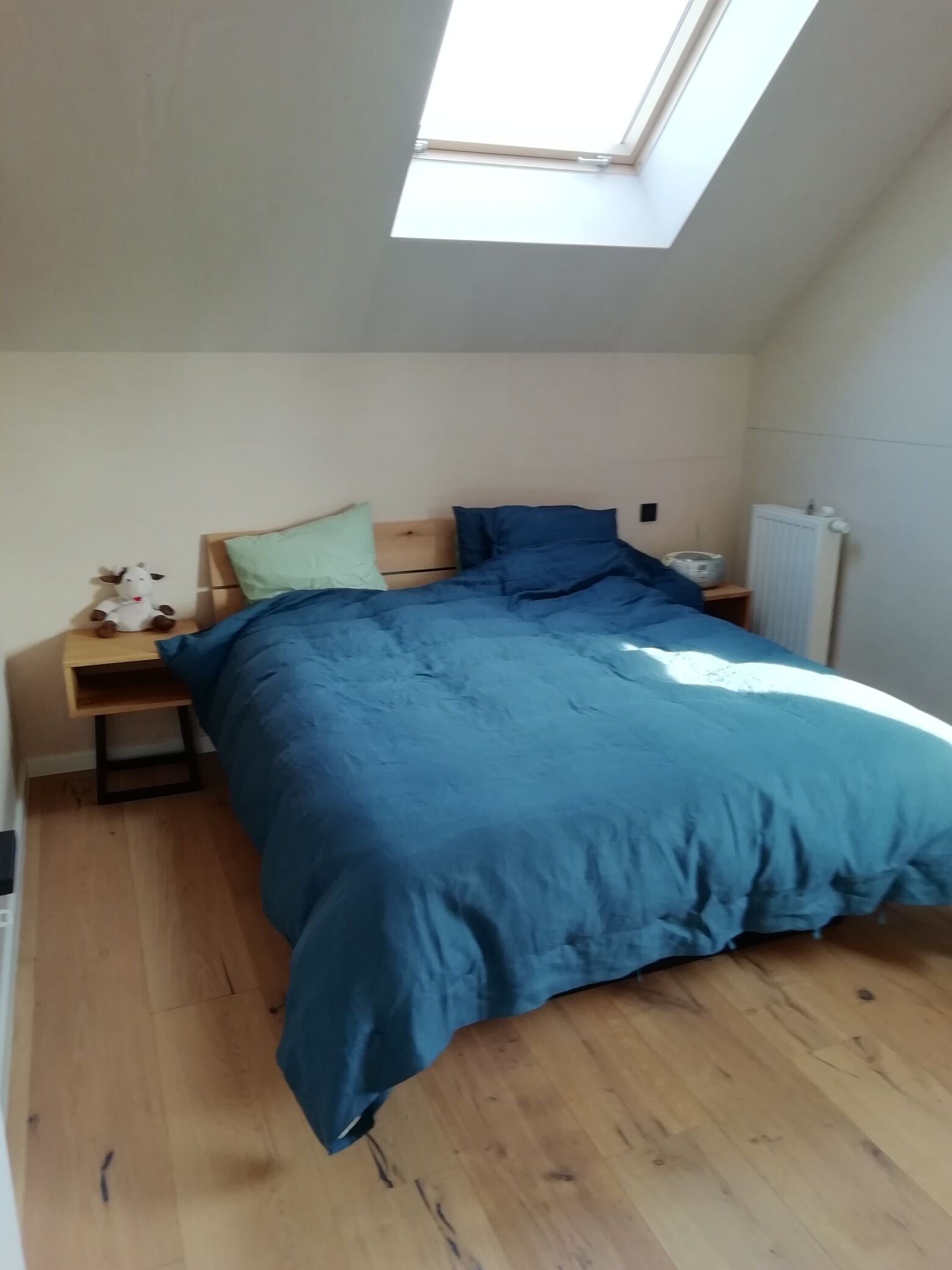 Bright ecological 4-person luxury holiday home