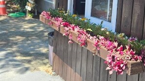 A wooden building with a window and a planter box with flowers. - Pousada Pouso do Marujo (Florianópolis)