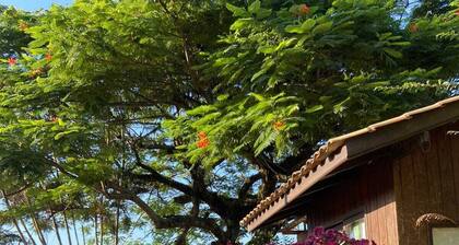 Pousada Pouso do Marujo