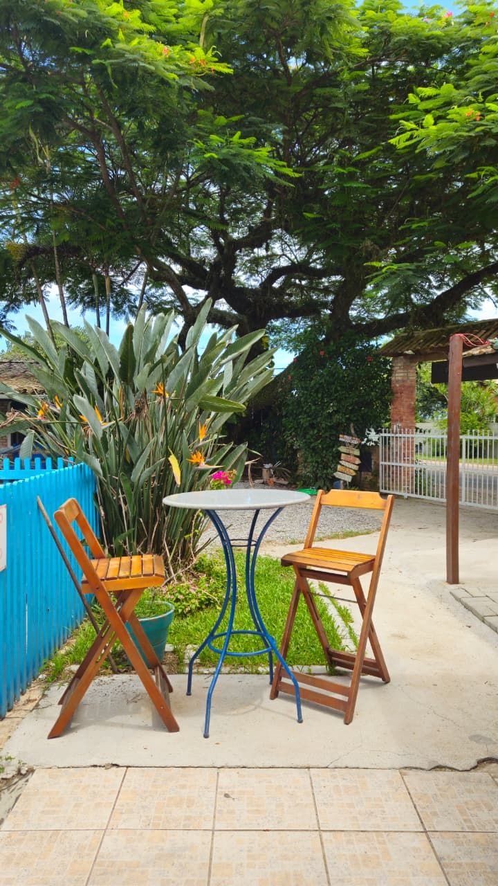 Un espacio al aire libre con dos sillas de madera y una mesa, rodeado de abundante follaje y una cerca azul.