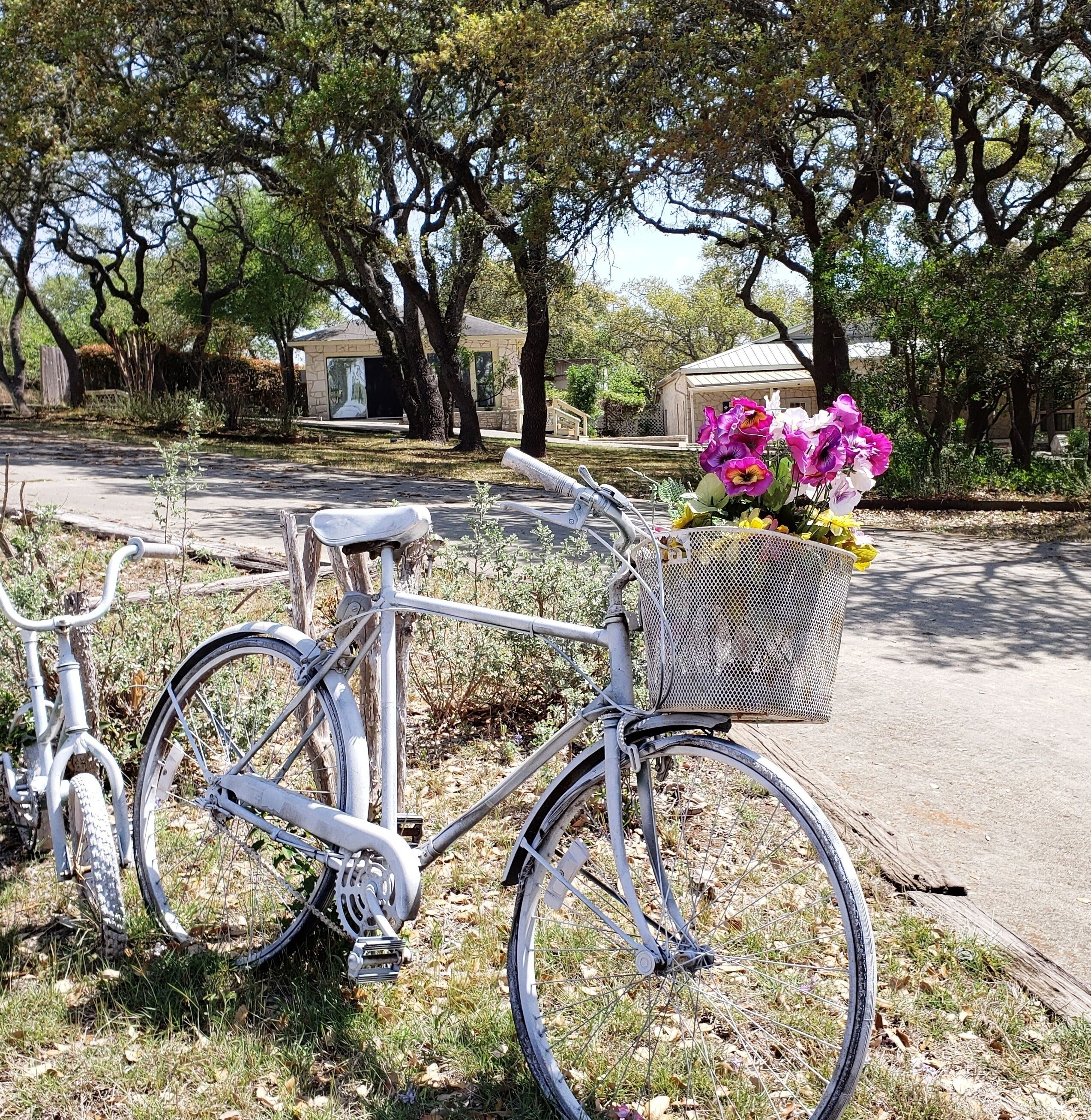 RARE FIND! Quiet, private, all theTexas Hill Country.