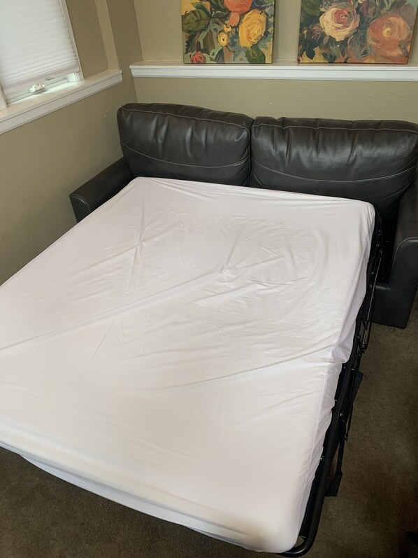 Sofa in living room folds out to queen bed. Bedding provided. - Spacious 2Bdrm walkable to UW, Shopping and More (Seattle)