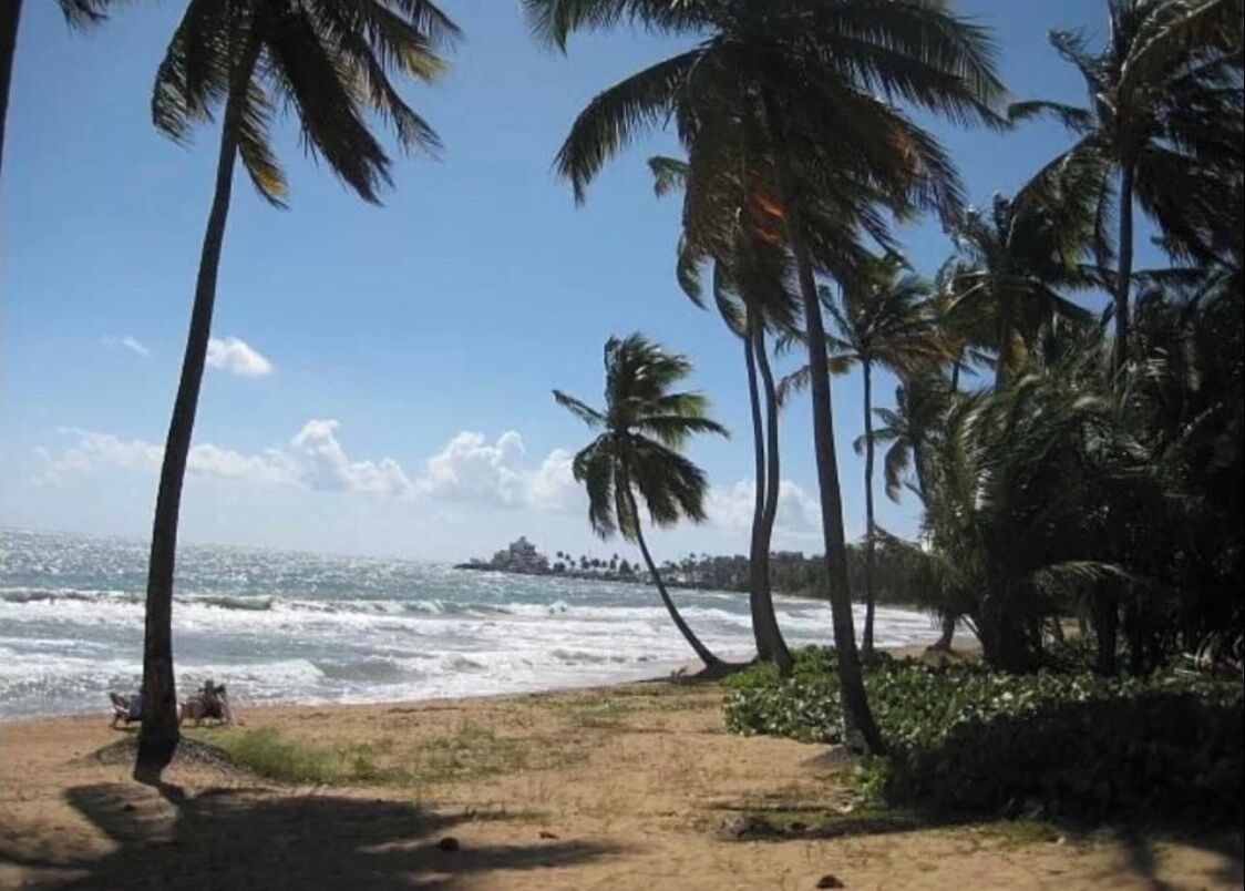 In Strandnähe, Strandtücher