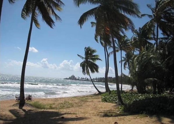 Plage à proximité, serviettes de plage