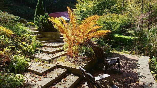 A garden pathway with a wooden bench and a fern plant. - Magical Loft Apartment at Fernbrook Place (Otto)
