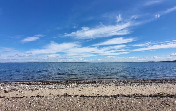 بالقرب من الشاطئ، صيد الأسماك