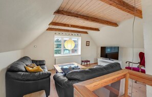 تلفزيون، مدفأة