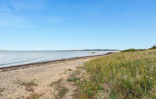 بالقرب من الشاطئ، صيد الأسماك