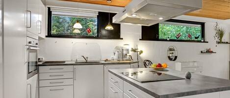 Fridge, stovetop, dishwasher, coffee/tea maker