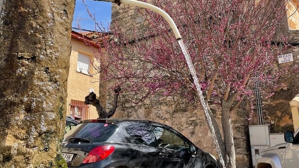 A black car parked in front of a stone building with a tree in bloom.