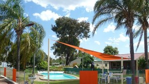 A fenced outdoor area with a pool, palm trees, and a covered seating area. - Birch Motel Tocumwal (Tocumwal)