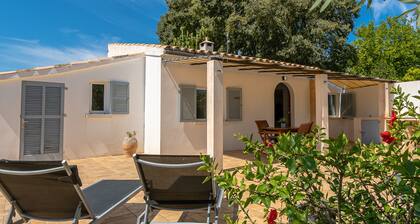 Villa Les Oliveres Petites en Pollensa by Mallorca North Villas