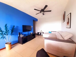 Smart TV, books, computer monitors