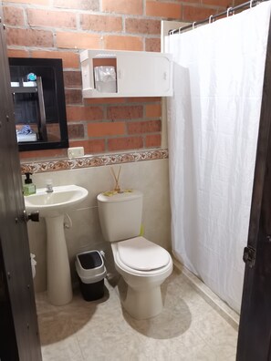 Shower, towels, soap, toilet paper - Tourist property with swimming pool, green areas. Near the coffee park (Montenegro)