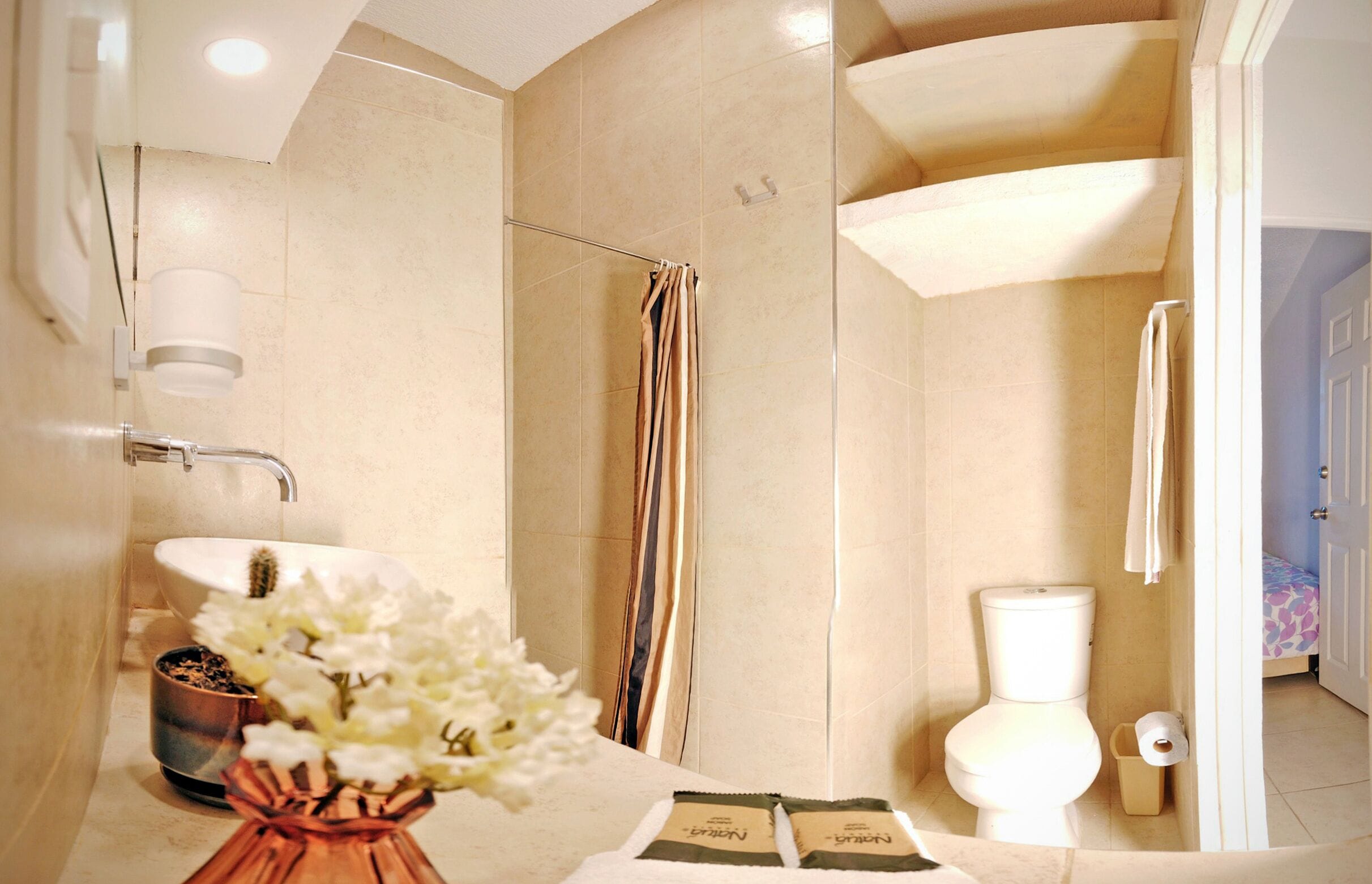 A bathroom with a shower, toilet, sink, and a small plant.