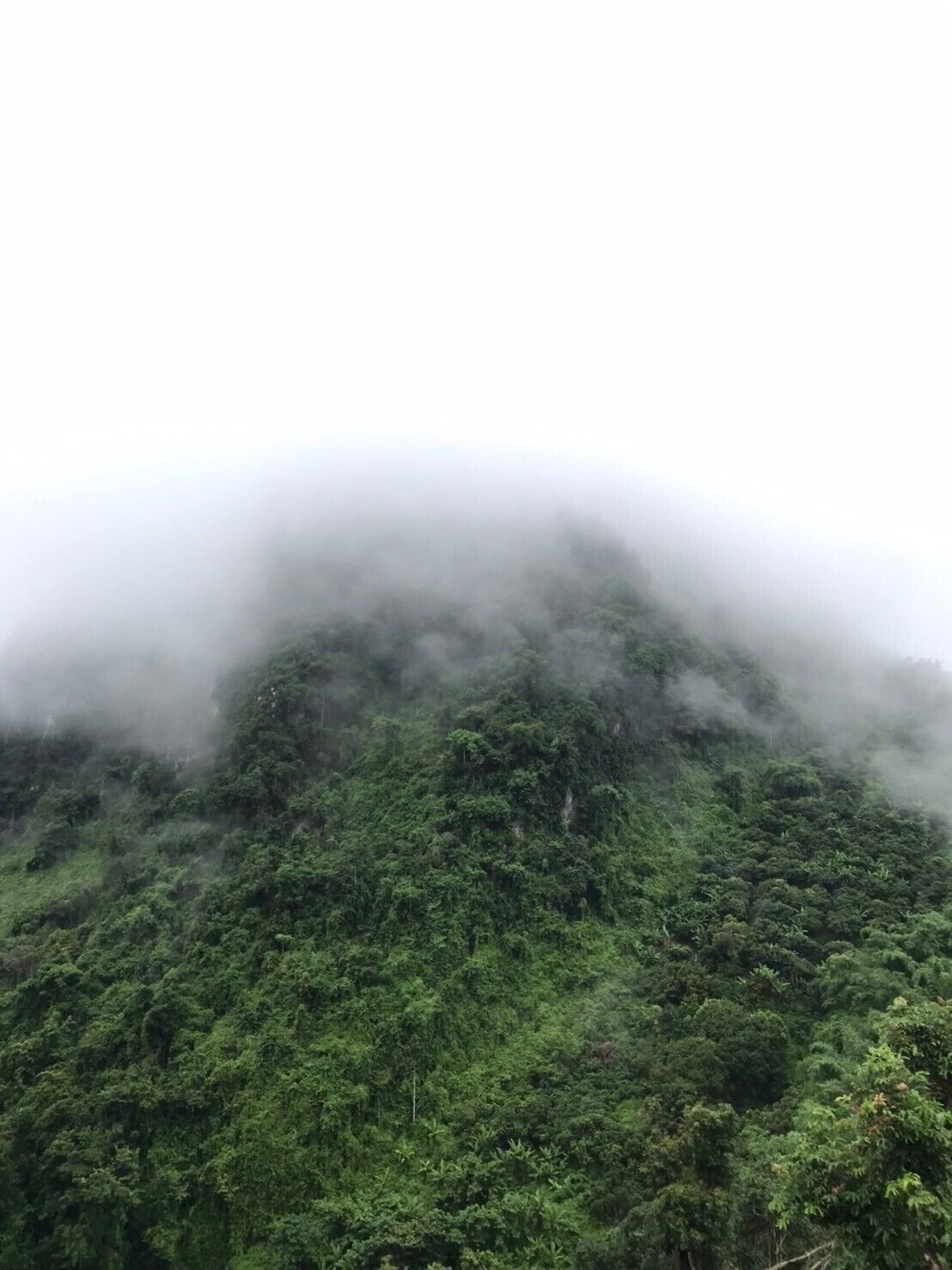 Una montaña boscosa y densa con una atmósfera brumosa.
