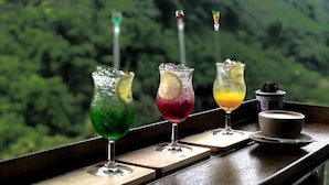 Tres còctels sobre un taulell de bar de fusta amb vista a un bosc.
