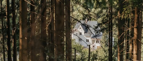 Uma casa cercada por árvores altas.