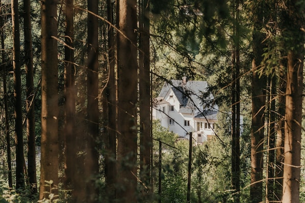 A house surrounded by tall trees.
