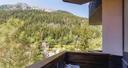 Résidence Grand Roc - Campanules 202, ArgentiÚre (Chamonix), France