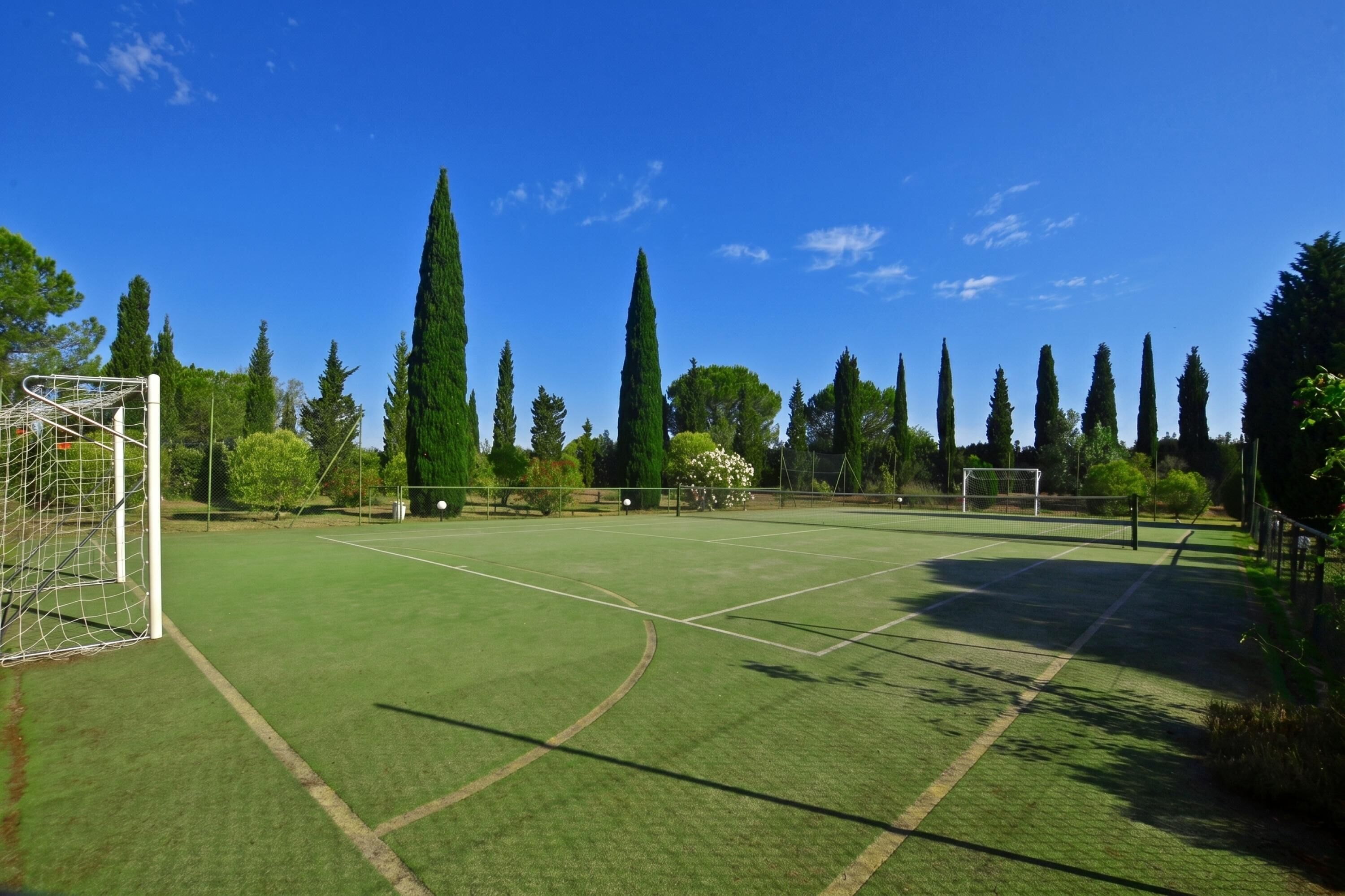 Ein Tennisplatz im Freien mit einem Tor, umgeben von hohen Bäumen und blauem Himmel.