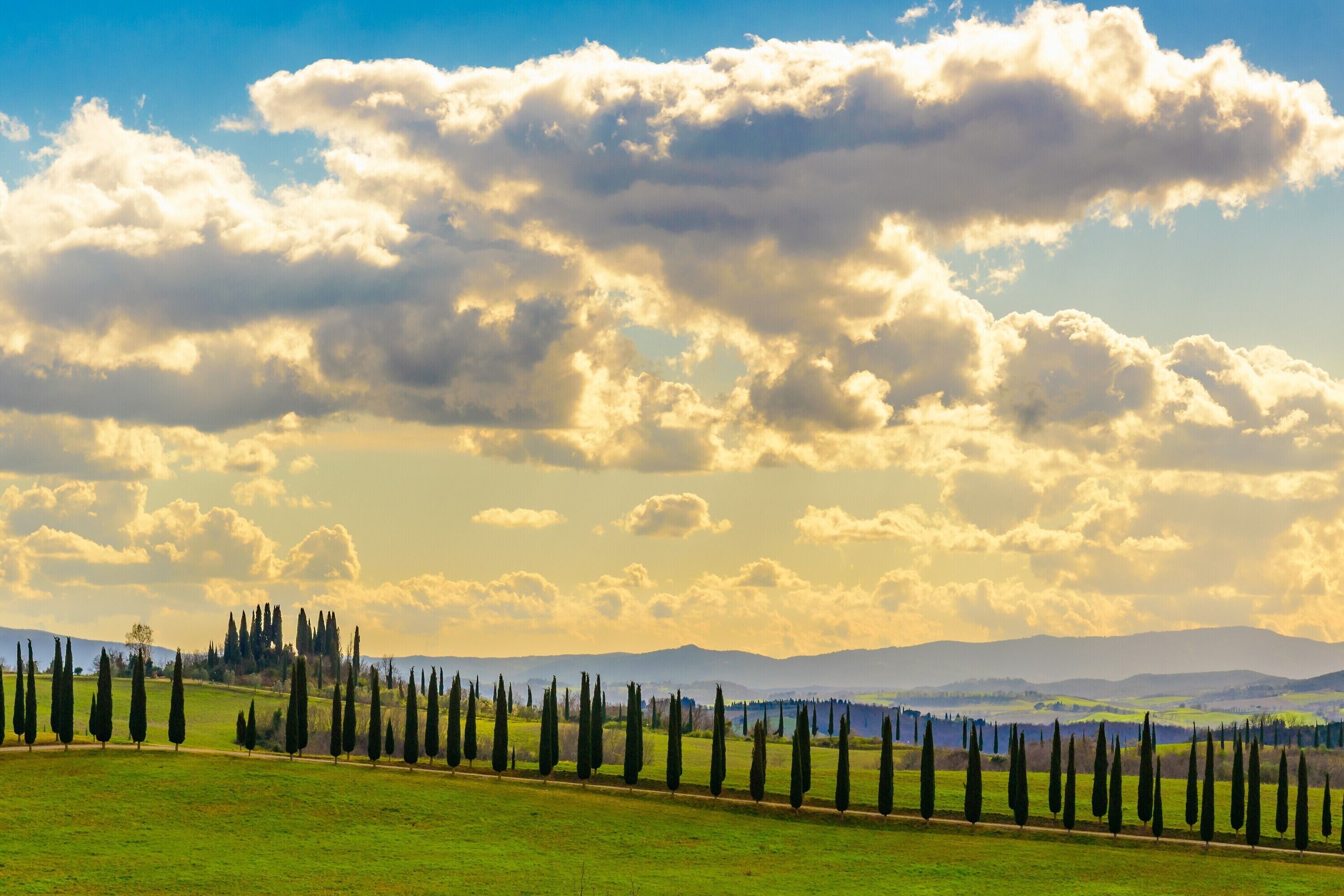 A landscape with a row of cypress trees and a distant mountain range under a partly cloudy sky.