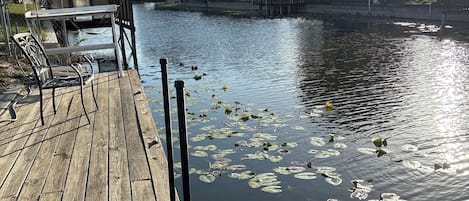 Ulkoalueet