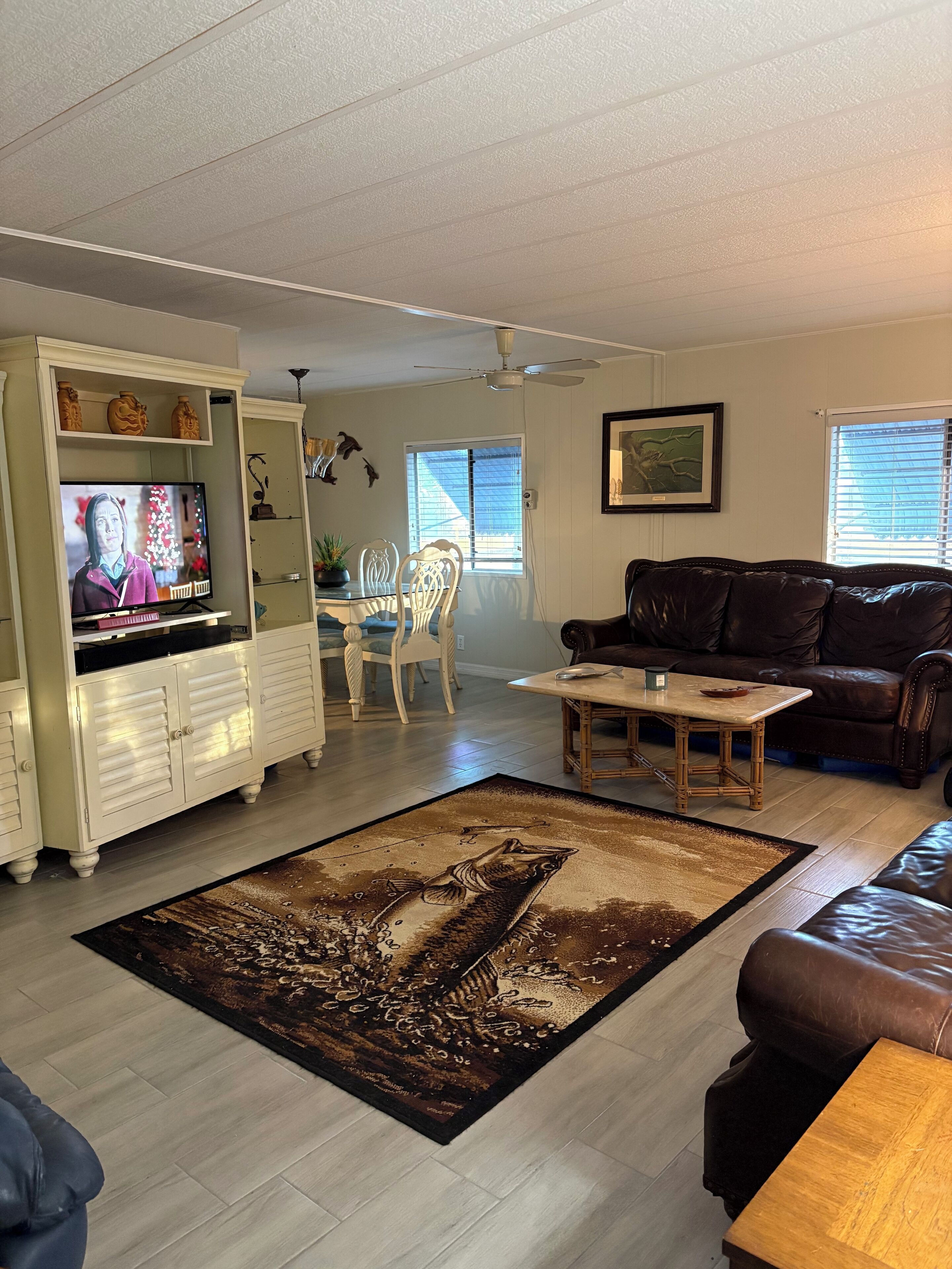 Smart TV, libros, biblioteca musical y videoteca 