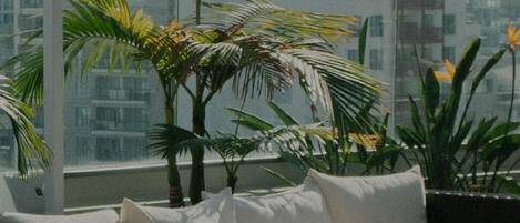 Àrea exterior de l'allotjament