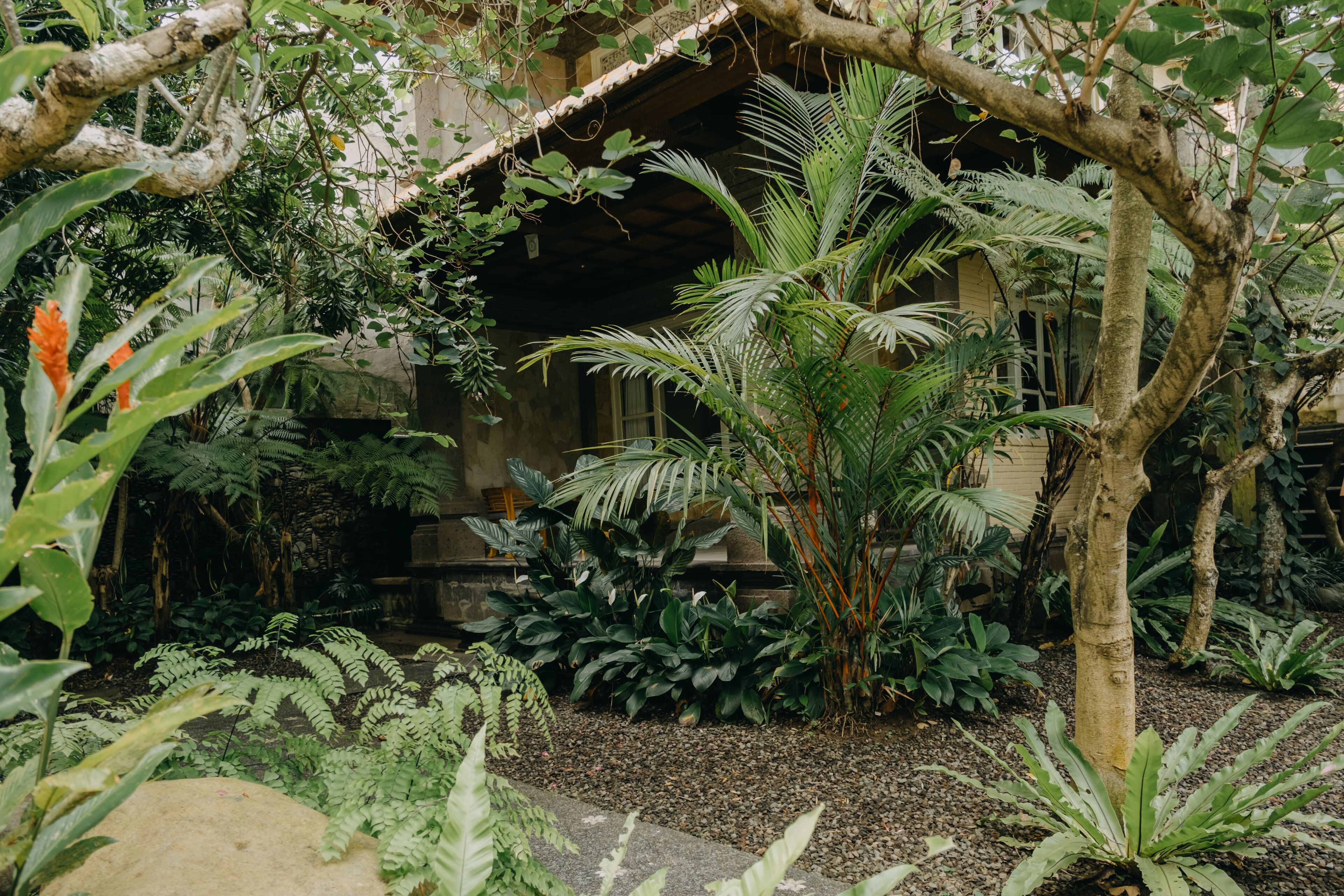 Foto - Wana Karsa Ubud Hotel