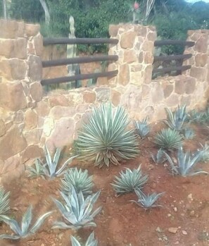 Terrain de l’hébergement 