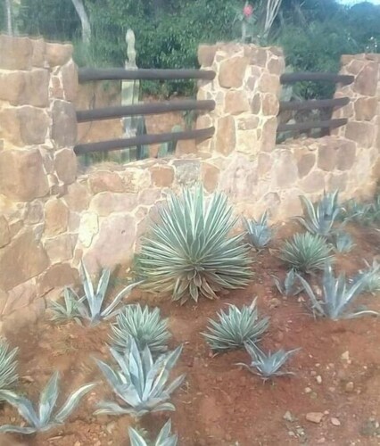 Sanalma Alojamiento - Casa 2