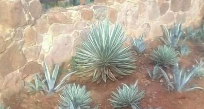 Sanalma Alojamiento - Casa 2