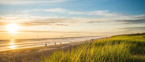 En la playa, sillas reclinables de playa, toallas de playa