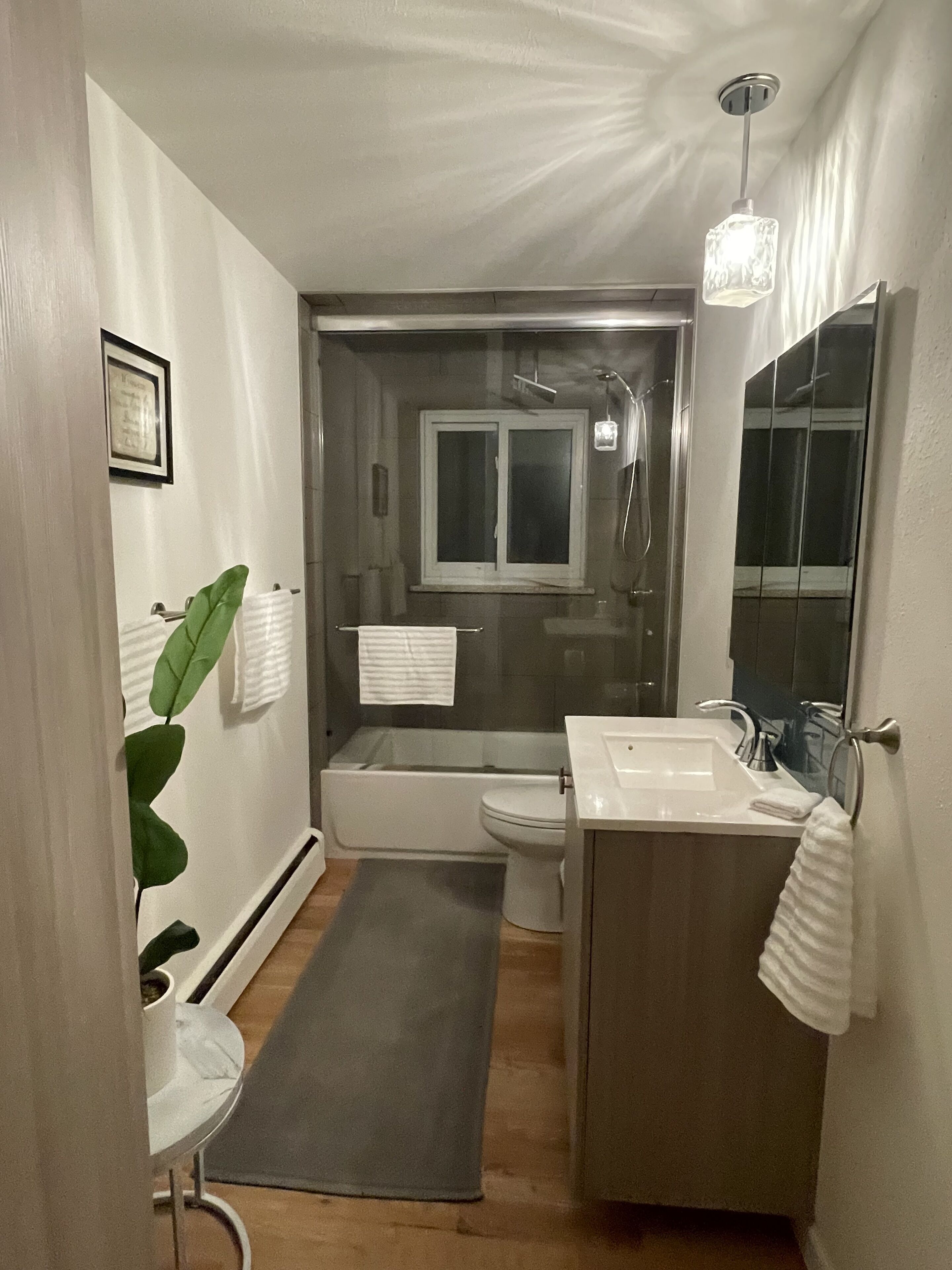 Freshly remodeled MCM quiet oasis near parks, restaurants & shopping