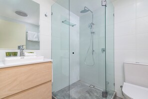 Shower, hair dryer, towels