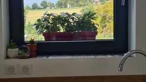 Janela com vista para paisagem rural, planta em vaso e pia de cozinha.