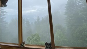 Una habitación con ventanas amplias que dan a un área boscosa.