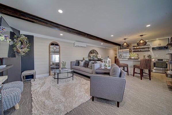 Smart TV, fireplace, books