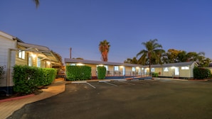 A motel with multiple rooms, a covered parking area, and a small garden with bushes and a palm tree. - 22 on Bowen Motel (Roma)