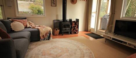 Smart TV, chimenea y libros