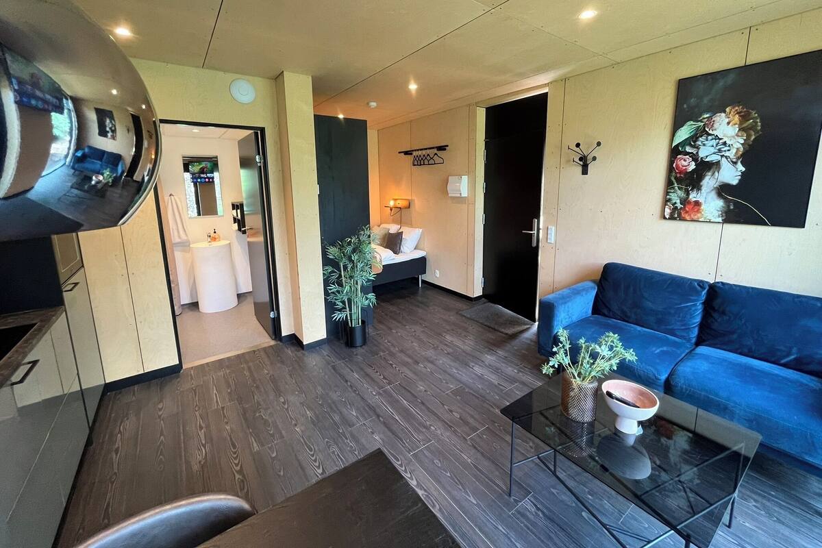 A modern living room with a blue sofa, a glass coffee table, and a potted plant. There is a door leading to a bathroom and a hallway.