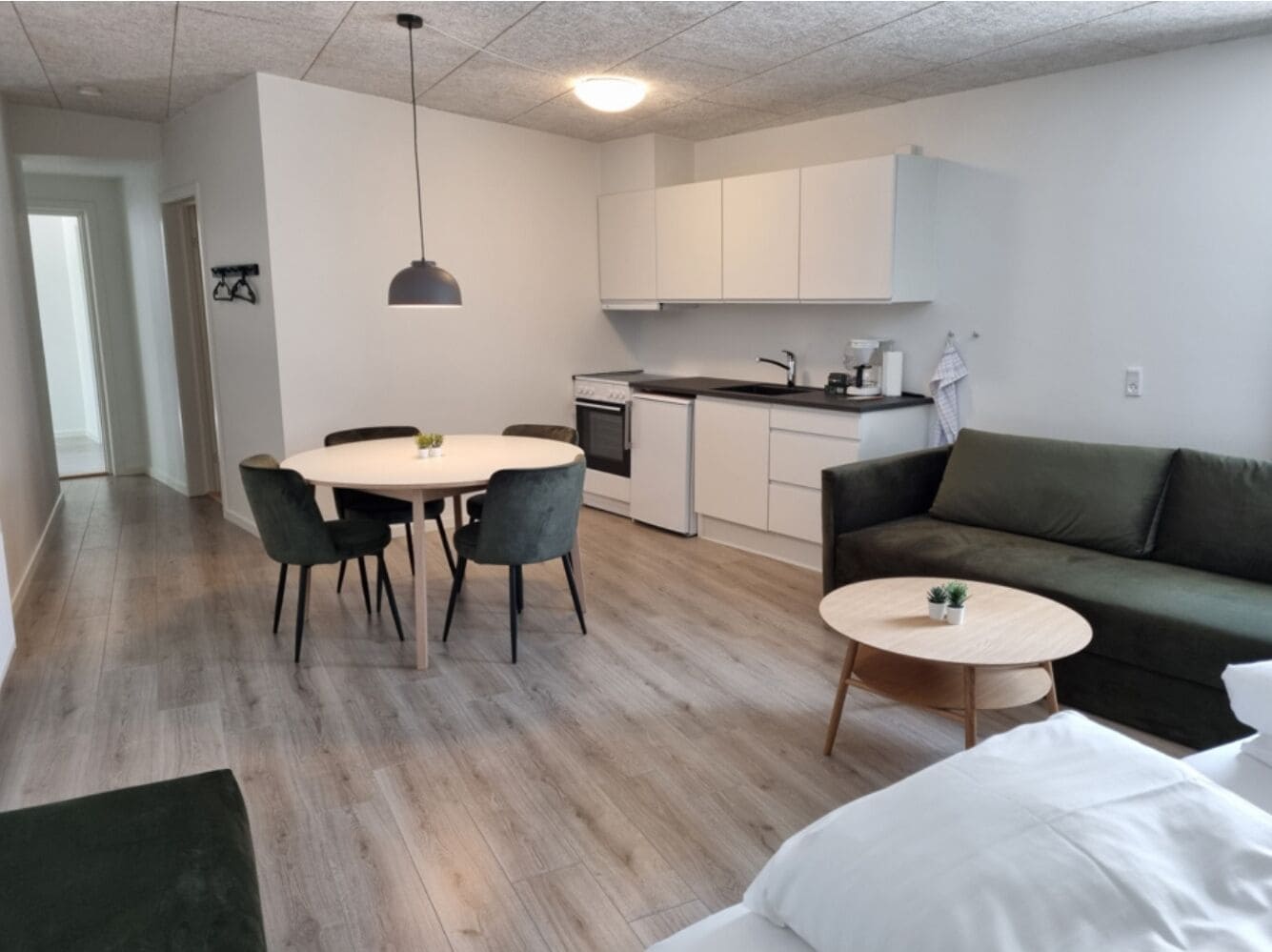 Un apartamento moderno con comedor, cocina y sala de estar.